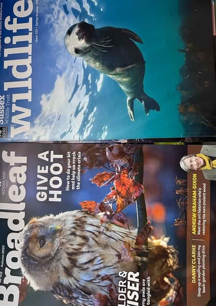 Photo of free Magazines (Central Shoreham BN43) #1