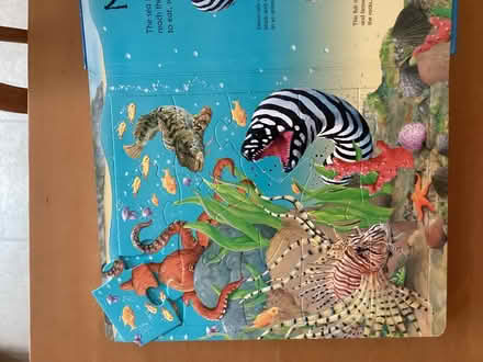 Photo of free Children’s book of sea creatures (Beaconsfield HP9) #3