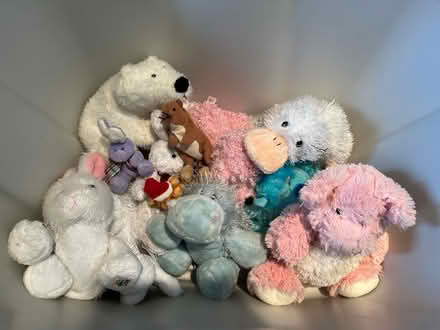 Photo of free Stuffed animals & soft dolls (New Edinburgh) #2