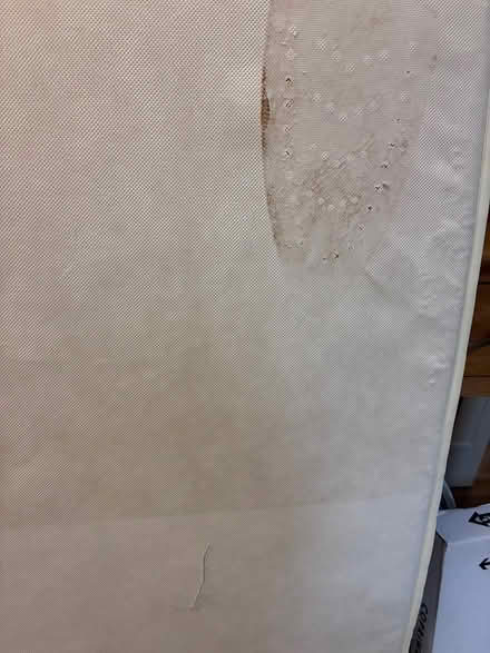Photo of free Cot mattress (Middleton PO22) #2