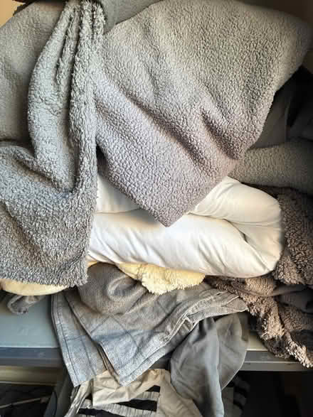 Photo of free Single teddy type bedding (South Benfleet) #1