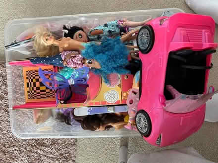 Photo of free Collection of Barbie’s and LOLs (Scholes S61) #1