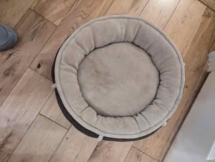 Photo of free Cat bed (Woodside SE25) #1