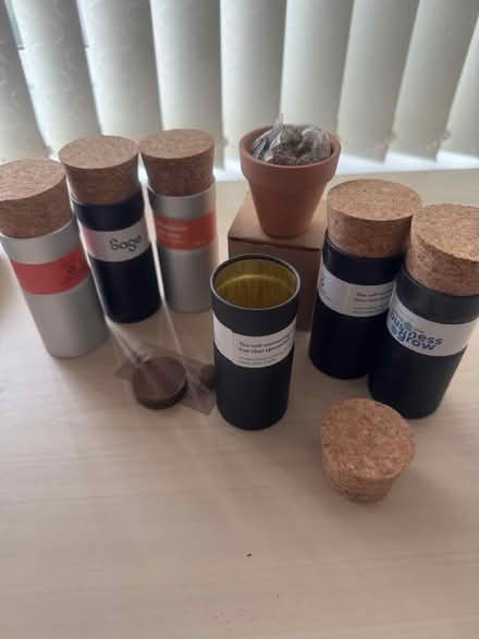 Photo of free Plant / Flower seeds (Elm Park RM12) #2