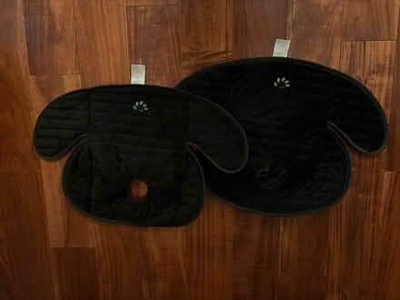 Photo of free Car seat liners (Centretown) #1