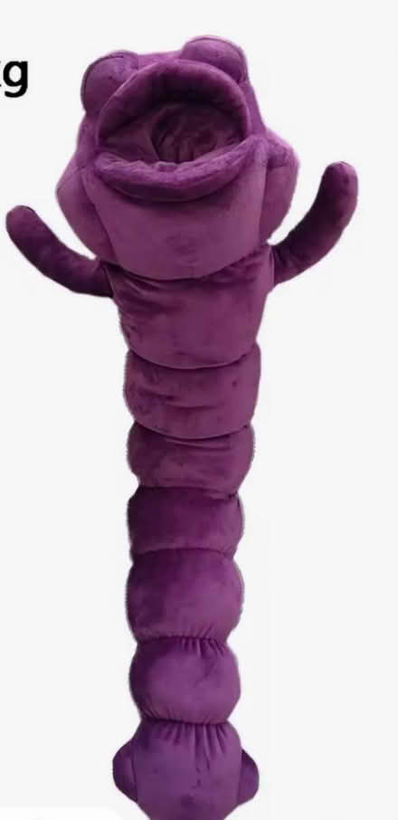 Photo of Toji Worm plush (Altrincham WA14) #1