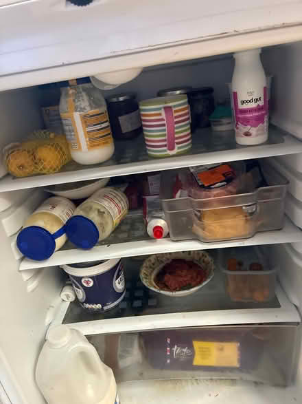 Photo of free Hot point future fridge (GL6 Chalford) #3