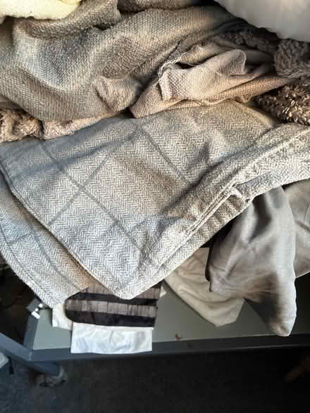 Photo of free Single teddy type bedding (South Benfleet) #2
