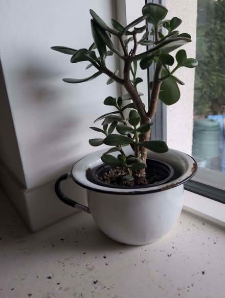 Photo of free Enamel Pot for garden, plants, etc (Mold CH7) #1