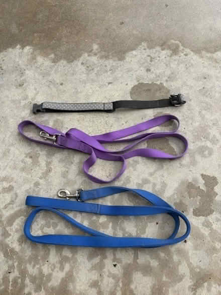 Photo of free Dog leashes (North Hollywood) #1