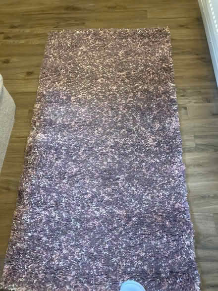 Photo of free Rug Master Purple/Pink Rug 80 x 150 vgc (Monkspath B91) #1