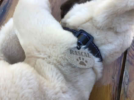 Photo of free Keel soft toy dog. “Rascal” (New Balderton) #2