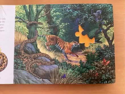 Photo of free Child’s book of jigsaw jungles pictures (Beaconsfield HP9) #4