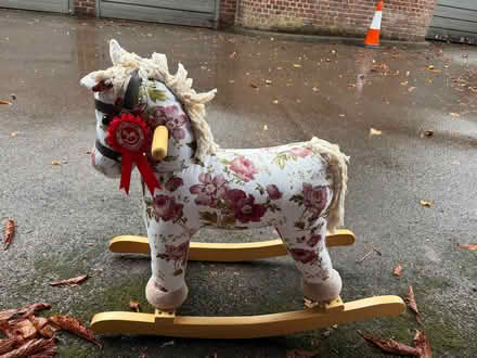 Photo of free horse (Kensington W14) #2