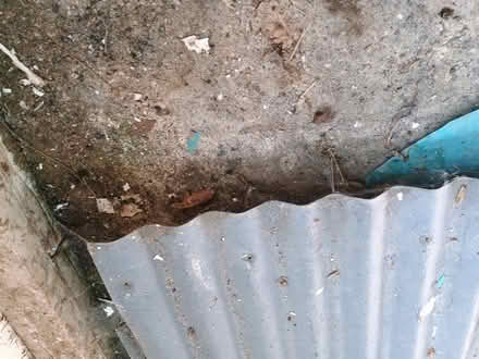 Photo of free Corrugated steel roofing sheets (Guilsfield SY21) #1
