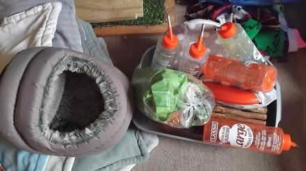 Photo of free Guinea pig accessories (Sheriff Hill Gateshead NE9) #1