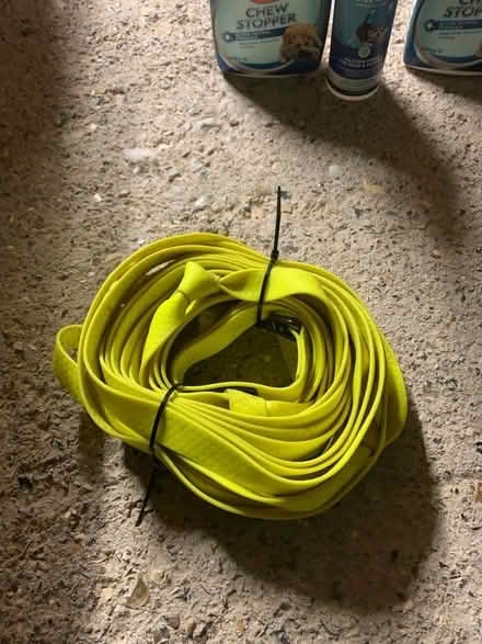 Photo of free 10m dog training lead (Beckenham BR3) #1
