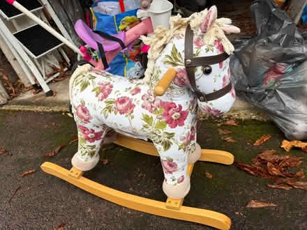 Photo of free horse (Kensington W14) #3