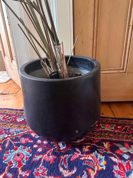 Photo of free Extra large plant pot (Morningside EH10) #1