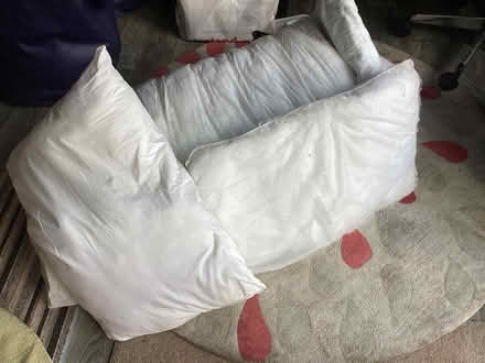 Photo of free Used Duvet and pillows (Nest Farm area NN8) #1
