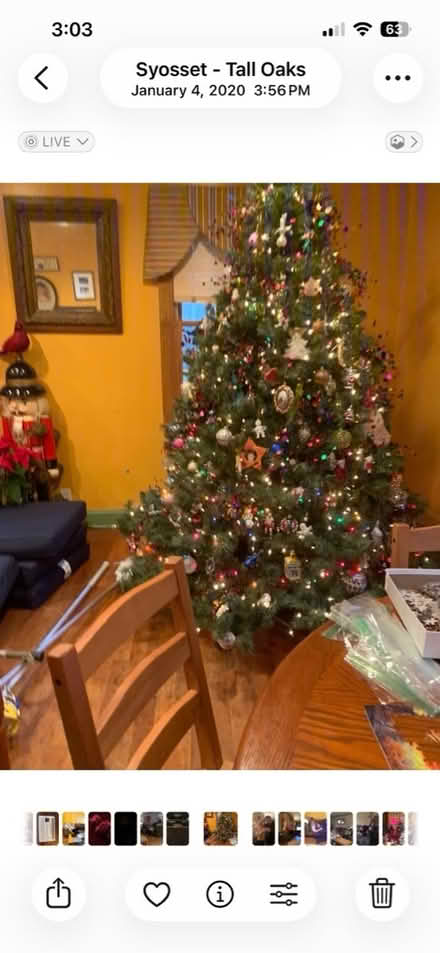 Photo of free Artificial Christmas tree (Nassau County) #1
