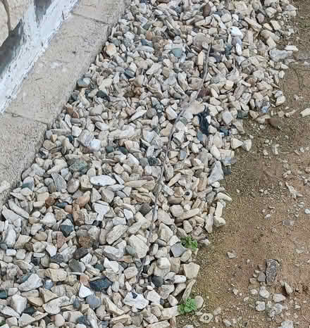 Photo of free Landscaping stones about 40 lb (Mi.& Middlebelt , Inkster Mich) #2