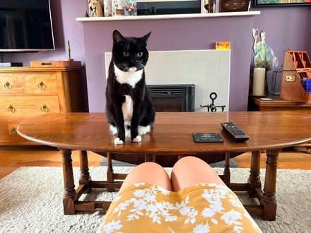 Photo of free Oak gate leg coffee table (Tysoe CV350S) #1