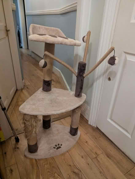 Photo of free Cat Tree (Woodside SE25) #1