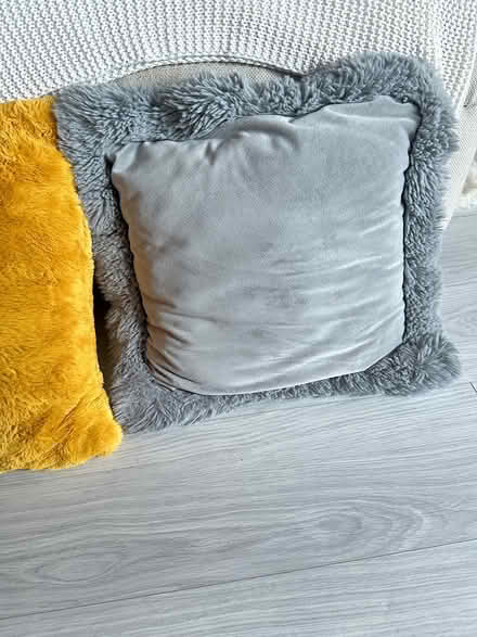 Photo of free Cushions (Carshalton SM5) #3