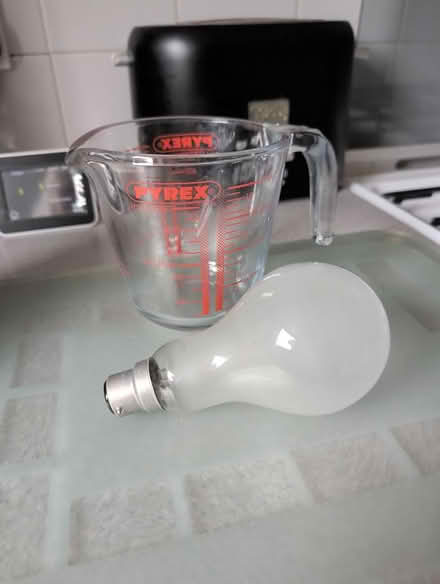 Photo of free 150W bayonet fitting, filament bulb (Whitemoor NG8) #1