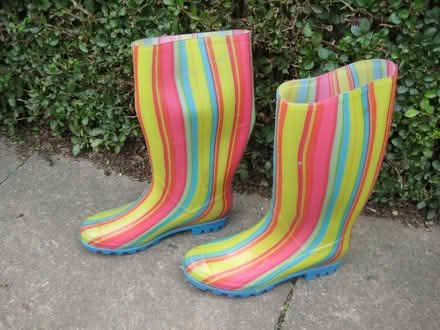 Photo of free Wellies (Ruddington NG11) #1