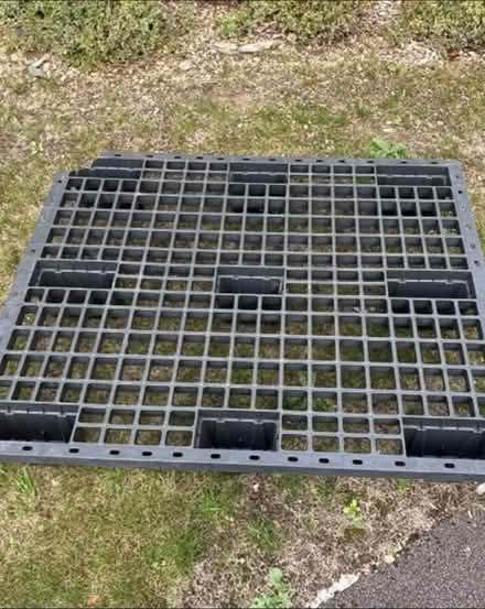 Photo of free Plastic Pallet (Haydon Wick SN25) #2