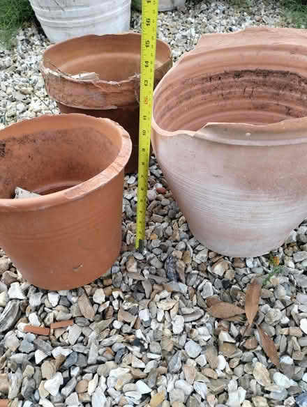 Photo of free 3 terracotta pots (Burnham On Sea TA8) #1
