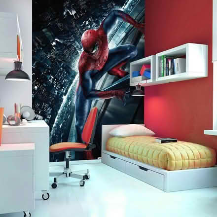 Photo of free Batman and Spiderman wall mural (Elgin IV30) #2