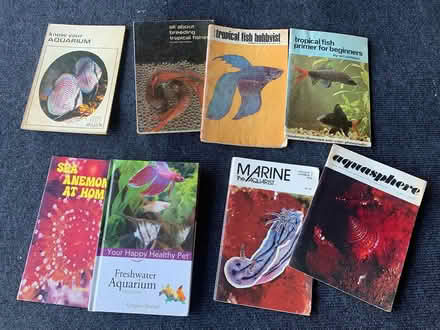 Photo of free Aquarium items (Bolingbrook - Rt 53) #2