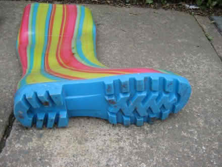 Photo of free Wellies (Ruddington NG11) #4