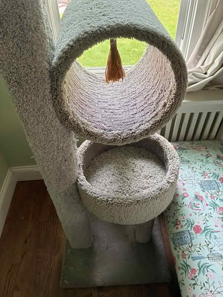 Photo of free Cat tree (48073) #2