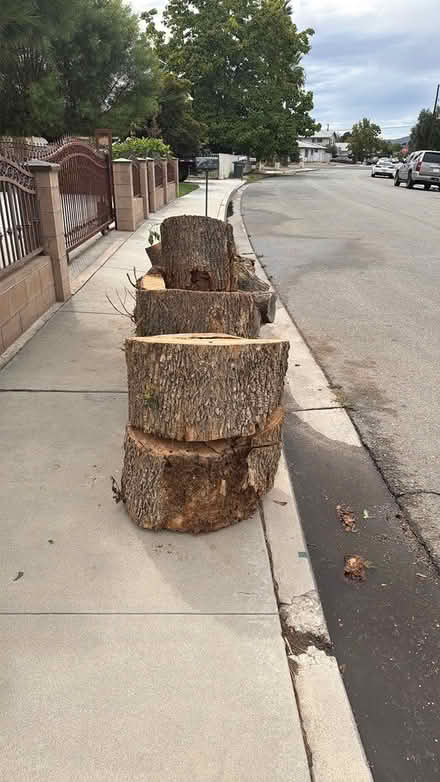 Photo of free firewood (Street front) #1