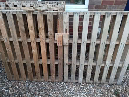 Photo of free 5 sturdy pallets (Chesham HP5) #1