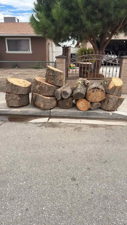 Photo of free firewood (Street front) #3