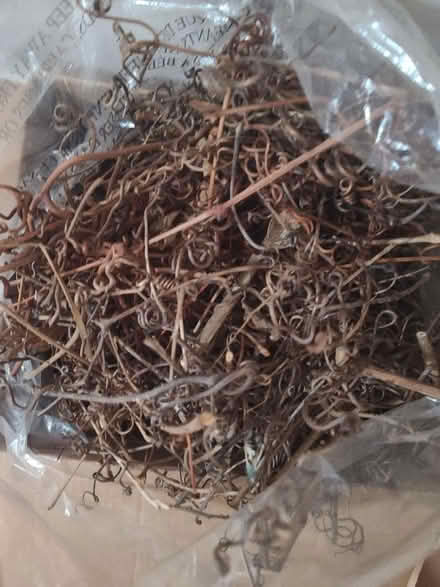 Photo of free Wreath-making supplies (West side near downtown) #3