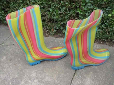 Photo of free Wellies (Ruddington NG11) #2