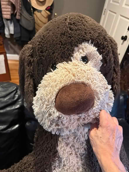 Photo of free Very large stuffed dog (Willow Glen/San Jose) #1