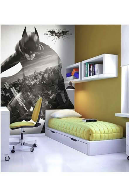 Photo of free Batman and Spiderman wall mural (Elgin IV30) #1