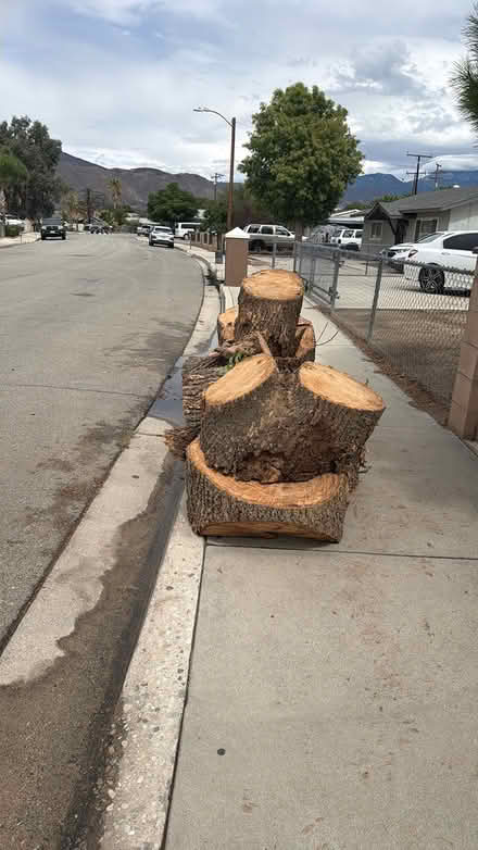 Photo of free firewood (Street front) #2