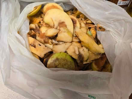 Photo of free 25 lb apple peel/core 4 animal food (Cupertino off S. Blaney) #1