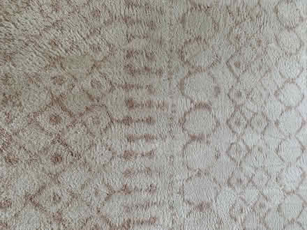 Photo of free Large Rug White and Pink (PO7) #2