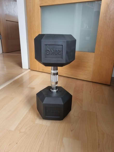 Photo of free 20kg weight (Edgmond TF10) #1