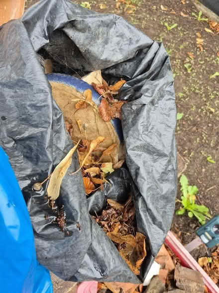 Photo of free Rubble and broken pots (Hollinswood TF3) #2