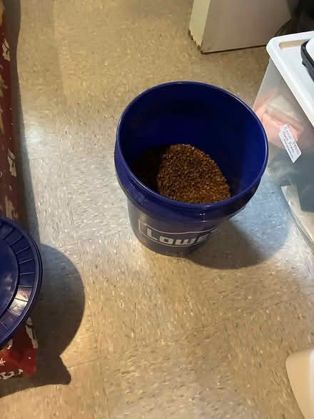 Photo of free Iams indoor cat food (48073) #3